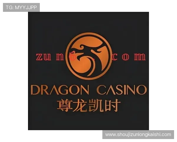 尊龙网址集团官网查询指南帮助用户轻松找到官方正规平台入口